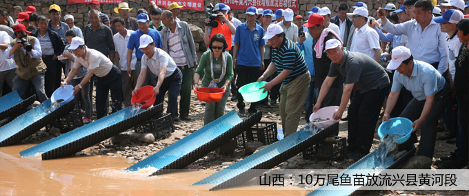 퓴Dģ ؐ.jpg